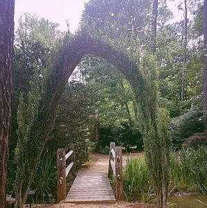 Meet your Posher, Chiquita