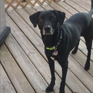 Meet your Posher, Leighann