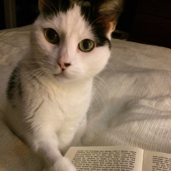 Meet your Posher, Niti - Picture 6 of 6