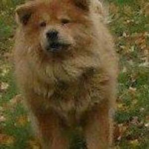 Meet your Posher, Beverly