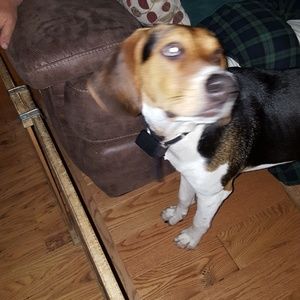 Meet your Posher, Renee