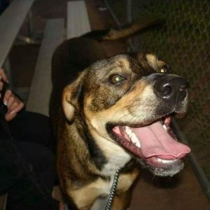 Meet your Posher, Meghan