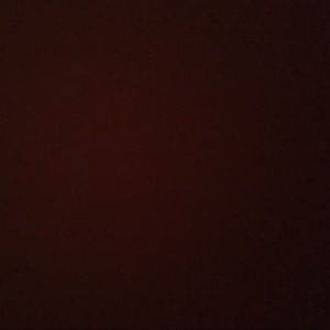 Meet your Posher, Ashlyn