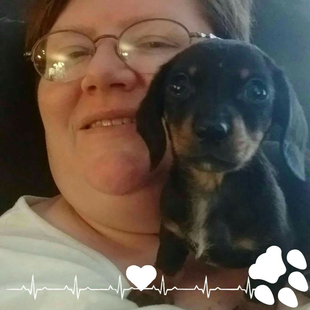 Meet your Posher, Reva