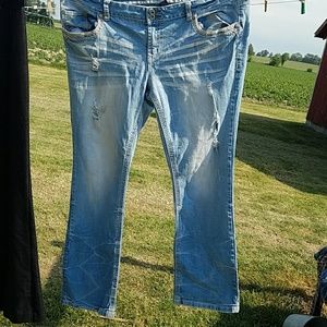 Plus size distressed bootcut Amethyst