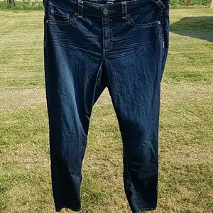 Plus Size Maurices Skinny Jeans