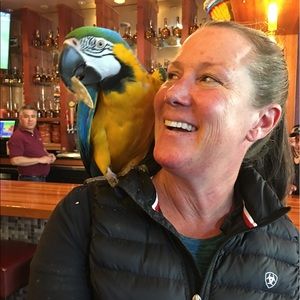 Meet your Posher, Sue