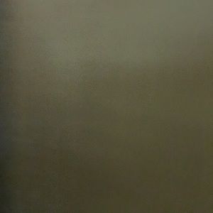 Meet your Posher, Ilene