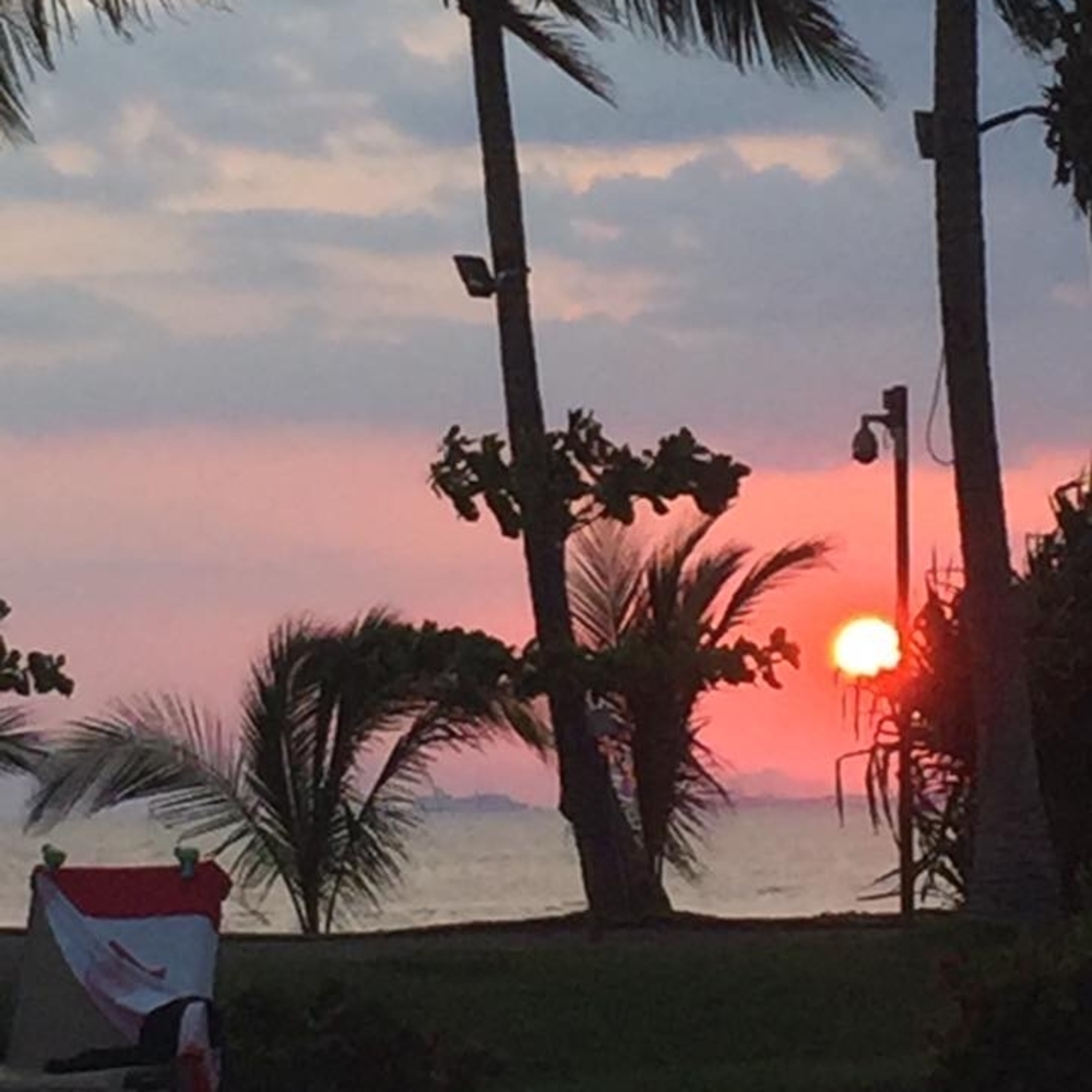 Meet your Posher, Jamie