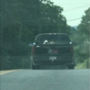 Meet your Posher, Trina