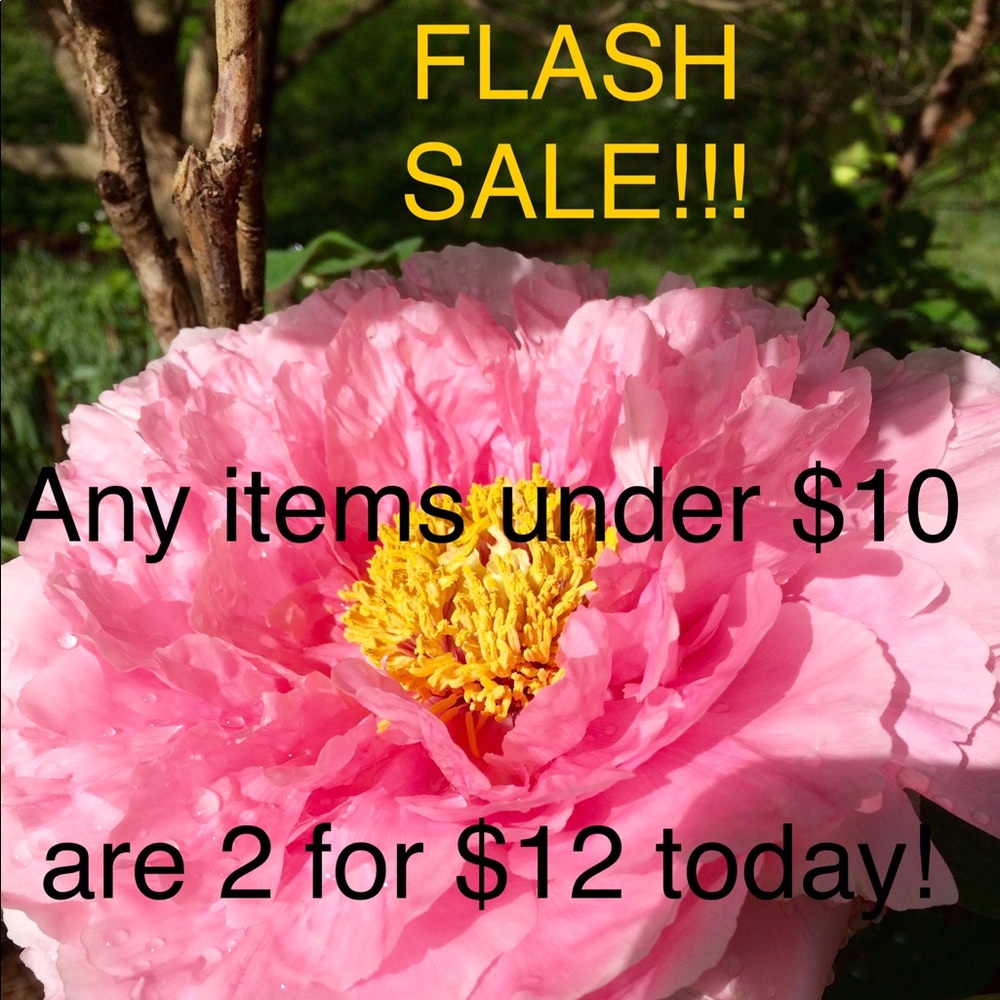 FLASH Sale! 2 for $12 on items under $10