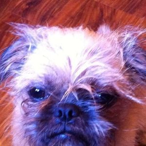 Meet your Posher, Allan