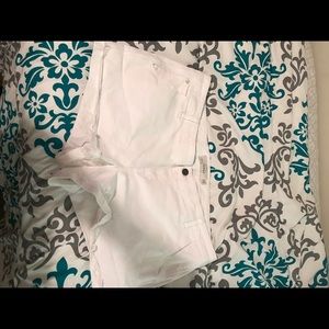 Torrid shorts