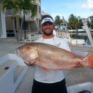 Meet your Posher, Eddie