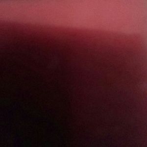 Meet your Posher, Nina