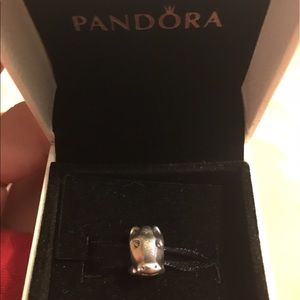 Pandora horse head