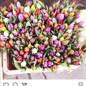 Meet your Posher, Shoshana