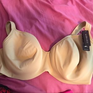 Cacique lane Bryant Bra 44ddd nwt balconette