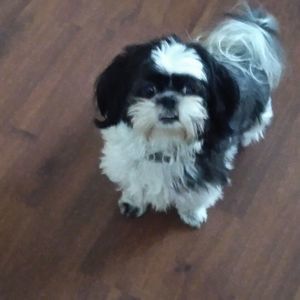 Meet your Posher, Kim