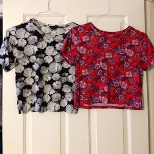 Bundle of 2 crop tops
