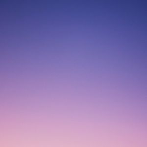 Meet your Posher, Bella