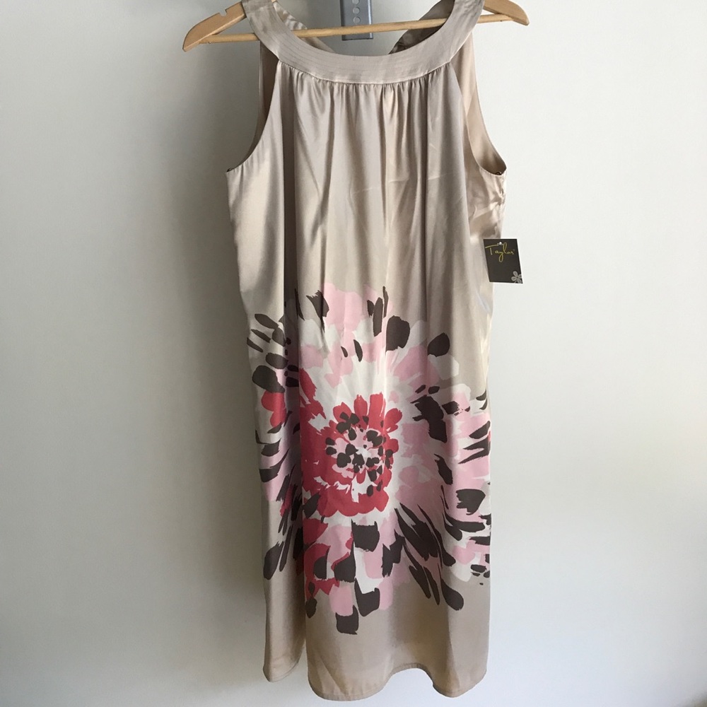 ☀️Taylor by Ann Taylor | Collar Dress