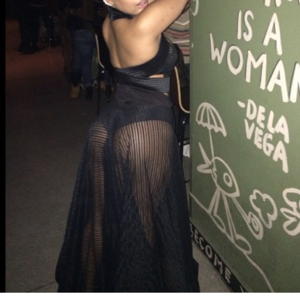 Beautiful Custom Made Sheer Michael Costello Gown - image 3