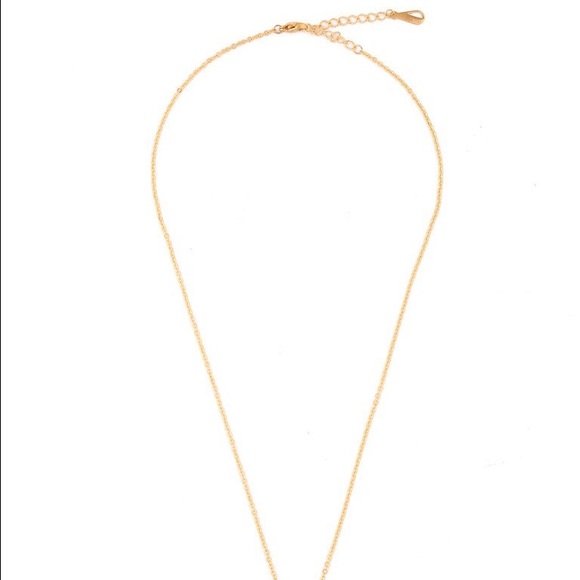 [the peach box] roman numeral necklace - Picture 4 of 4