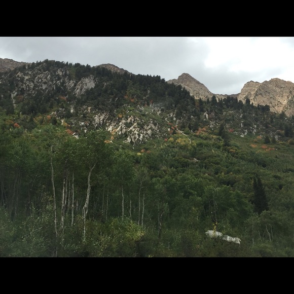 Meet your Posher, Sara - Picture 1 of 1