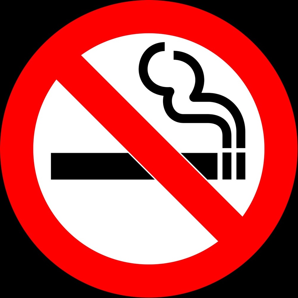 PET FRIENDLY 🐱 SMOKE FREE HOME 🚭🚭🚭