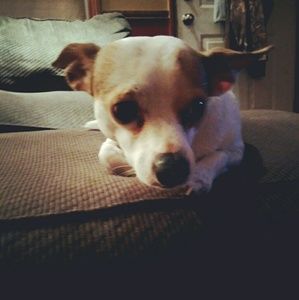 Meet your Posher, Patricia