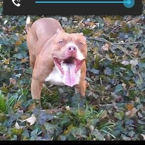 Meet your Posher, Alan