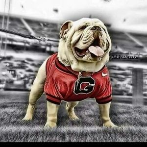 Meet your Posher, Mandy