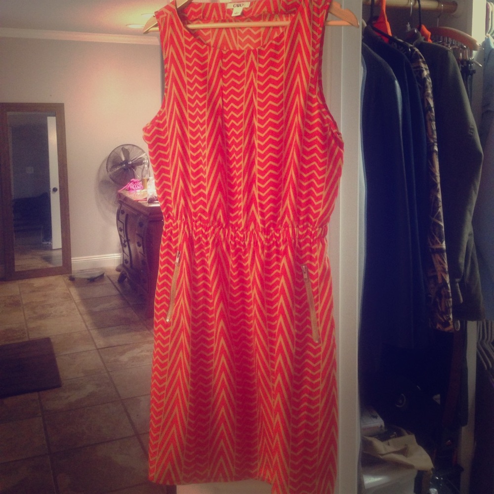 Coral/tan dress