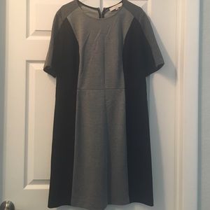 NWT Loft black & gray dress