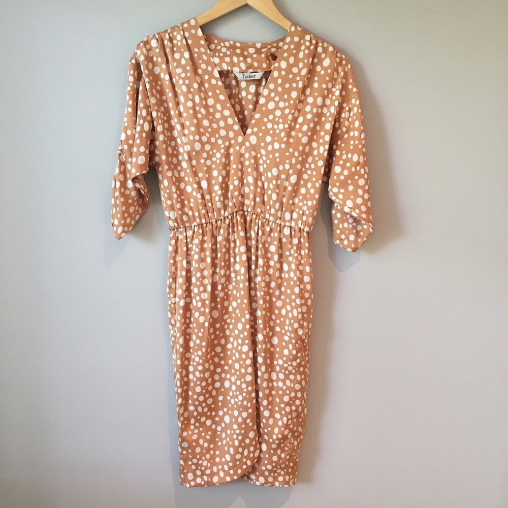 Tucker Silk Print Dress