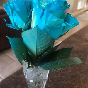 Meet your Posher, Veena