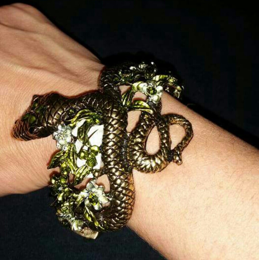 Cool snake bracelet.