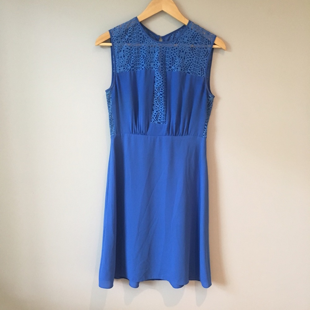 BCBG Silk and Lace Dress