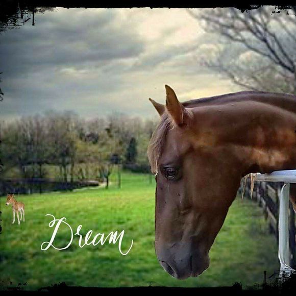 Meet your Posher, Karen - Picture 3 of 3