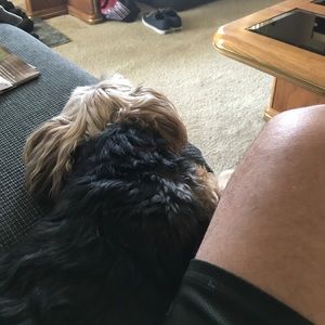 Meet your Posher, Joseph