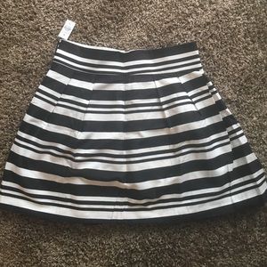 Size 12 Loft skirt NWT