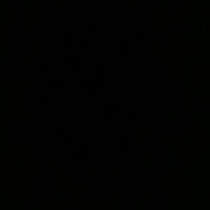 Meet your Posher, Leandre