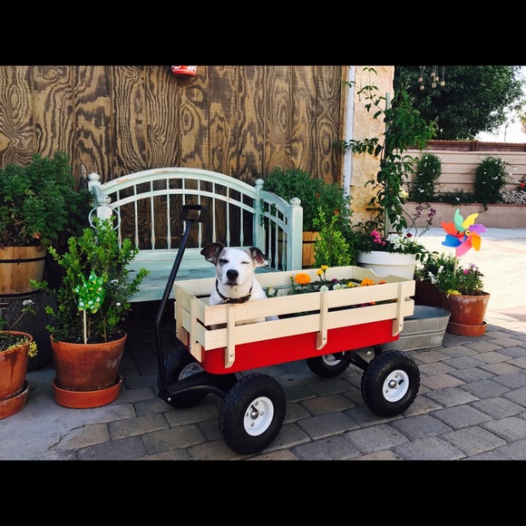 Meet your Posher, •{Zoe}• - Picture 7 of 7