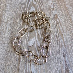 J. Crew Gold Long Chain Necklace