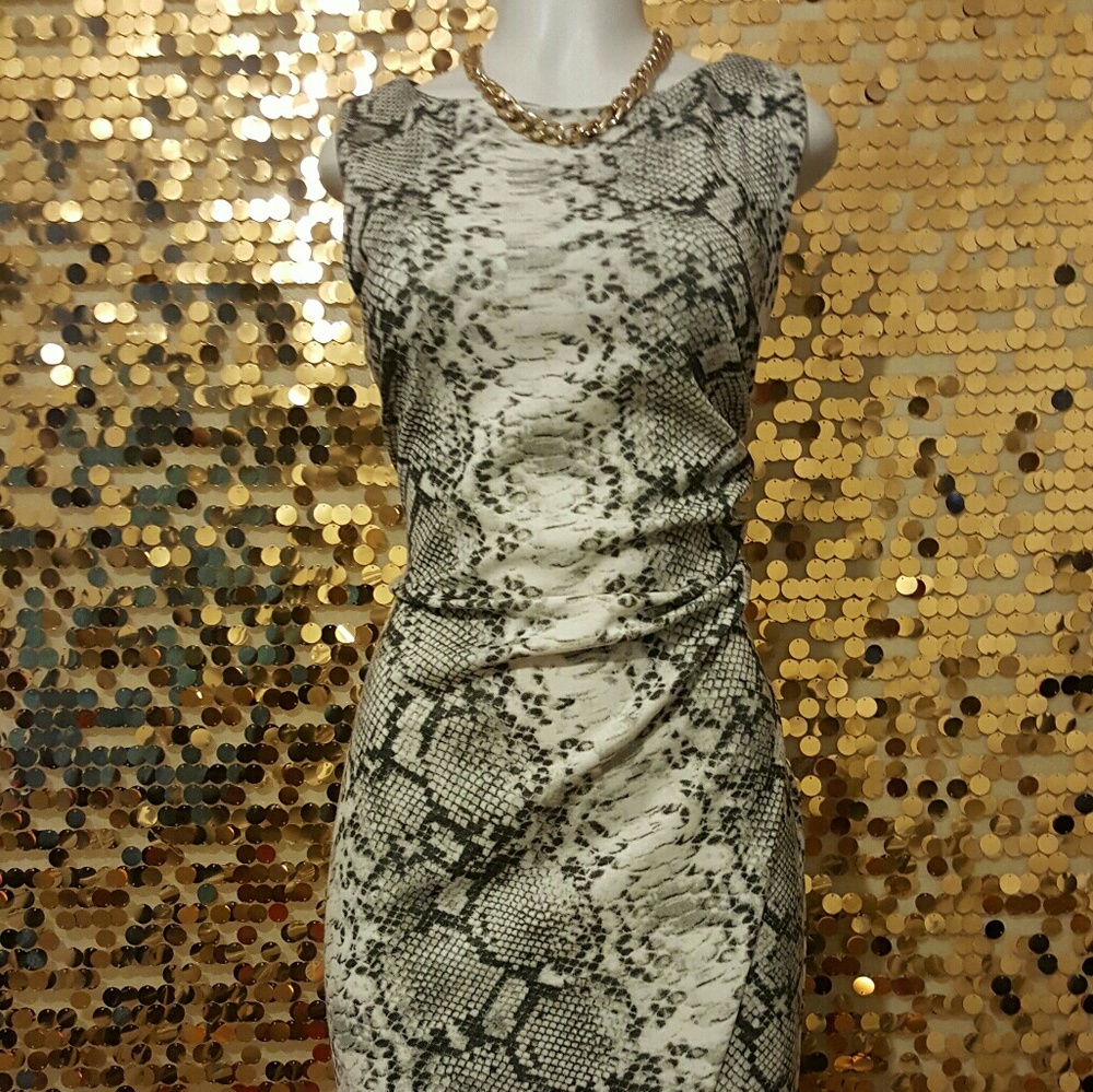 Snake Skin print knee length career dress size L