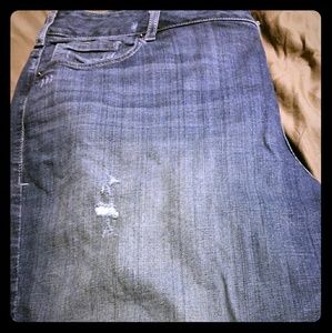 Lane bryant light distressed jeans