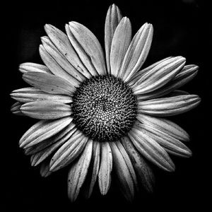 Meet your Posher, Abigail