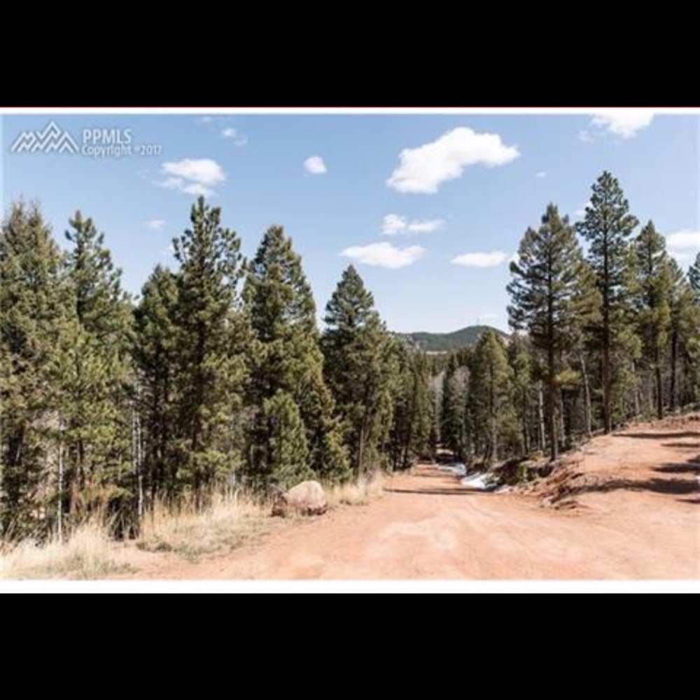 Meet your Posher, Shanna