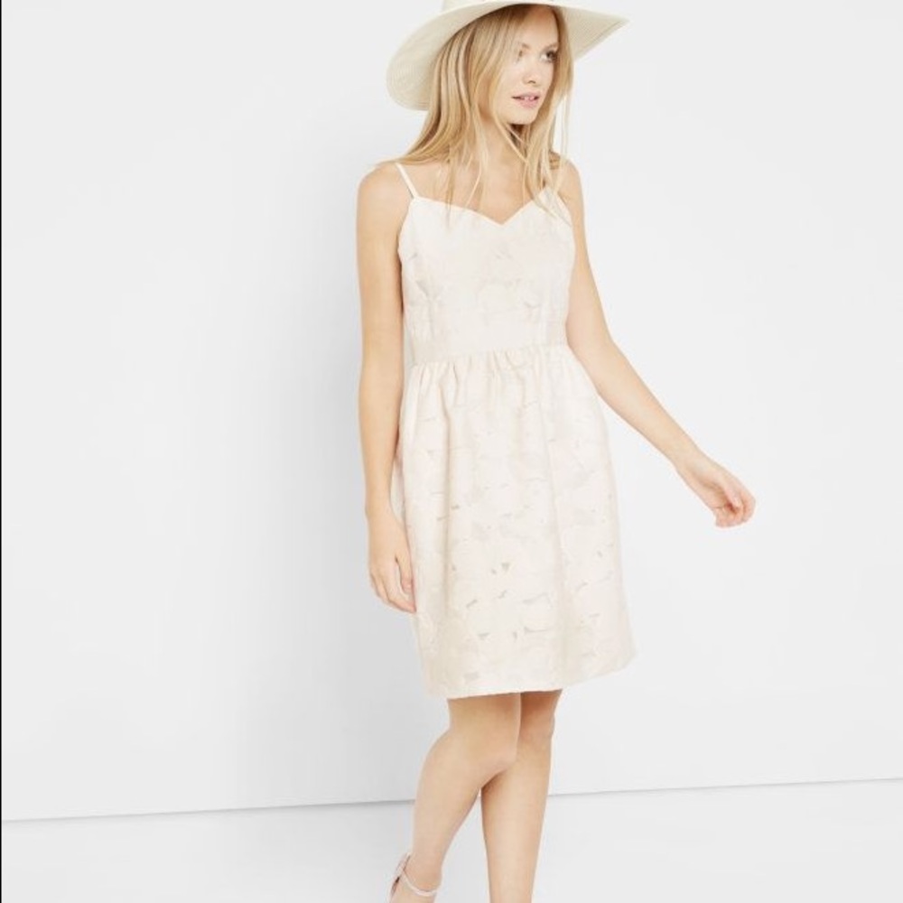 Ted Baker London Dress